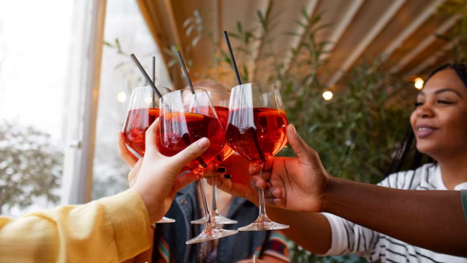 Friends cheers their glasses