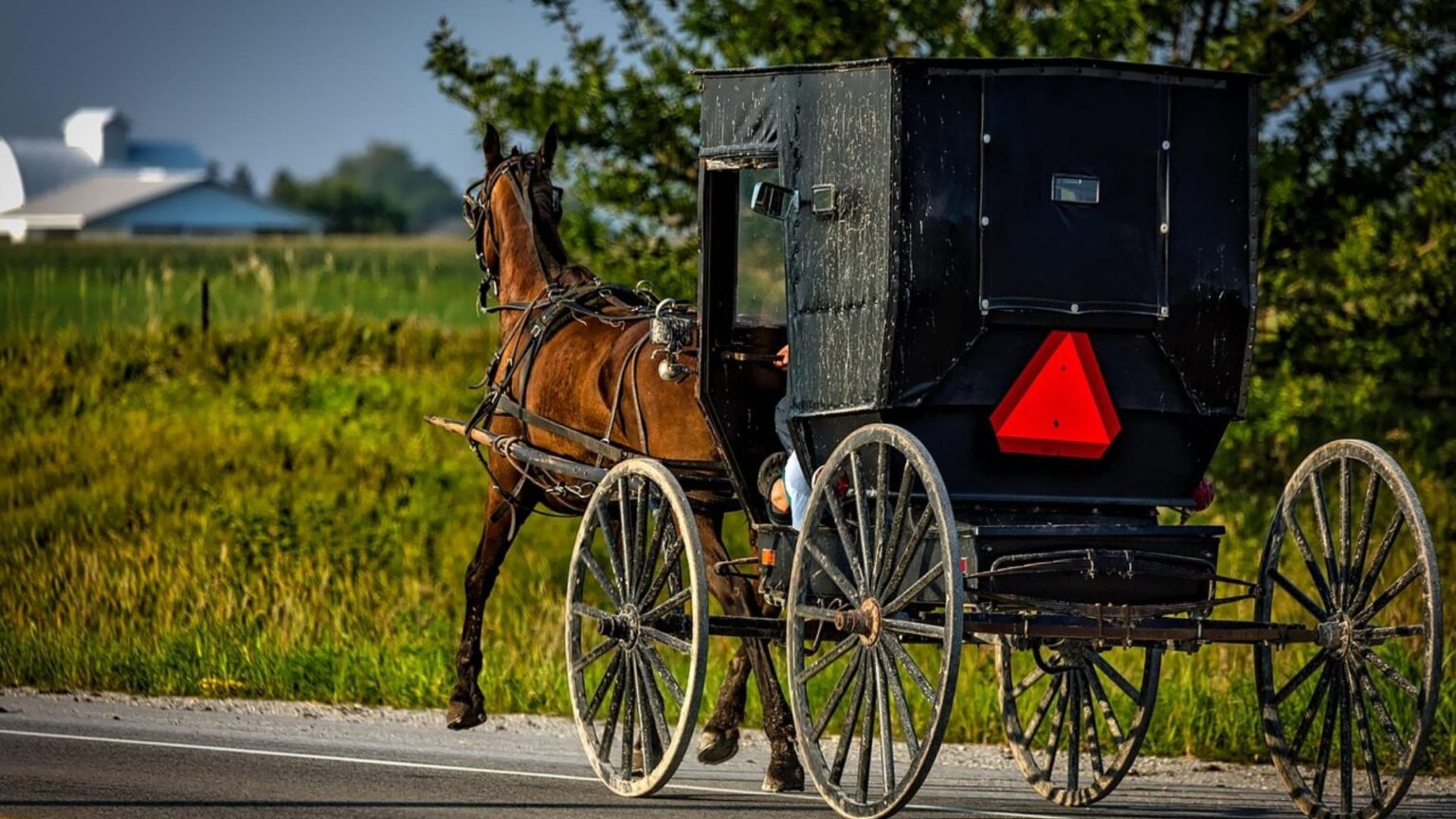 Horse and Buggy