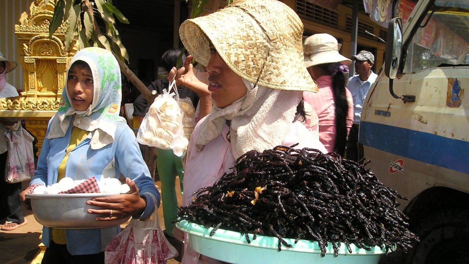 Woman holding platter of fried tarantulas